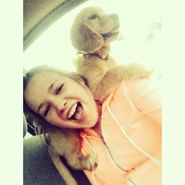 leeannegilmour's profile picture. UofG, #kcco #berrylove