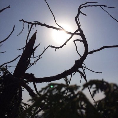احب السفر والاجازات والرحلات واكره المدرسه واحب الايباد واحب صديقاتي لعوبه كثير احب اضحك الناس ☺️ وهذا حسابي في الانستقرام areej20020@اتشرف في متابعتكم