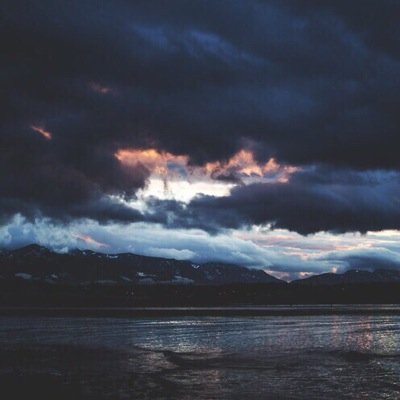 jasonstags's profile picture. stay weird.