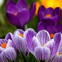 Donna Maly - @donnamaly2 - Twitter