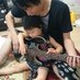ハロペリ人形 (@eltmarf) Twitter profile photo
