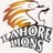 lhr_lions_pak's profile image