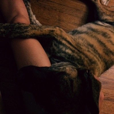 EMILYKING111's profile picture. 