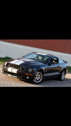 essa_shaban23's profile picture. 