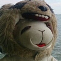 コヤジ (@coyazichop) 's Twitter Profile Photo