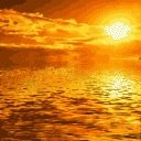 blacktiger7771's profile picture. 