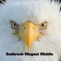 Sudbrook Magnet (@sudbrookmagnet) 's Twitter Profile