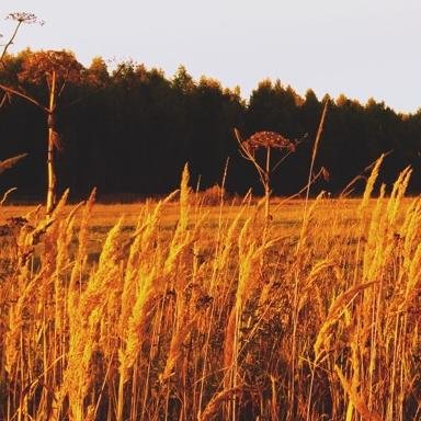 lalalala69_'s profile picture. 