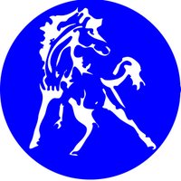 CV Athletics (@gocvcolts) 's Twitter Profile