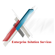 We offer installation, configuration, integration, migration and other professional services in support System x servers and solutions.