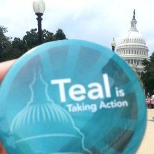 ovarian cancer research advocacy and political activism