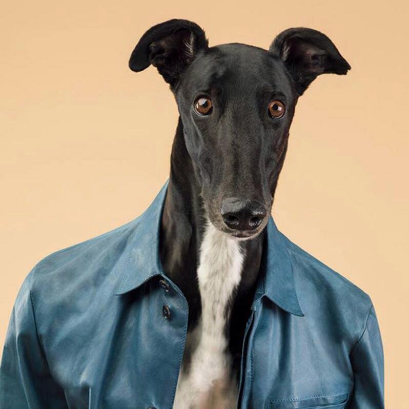 coreyaweb's profile picture. 