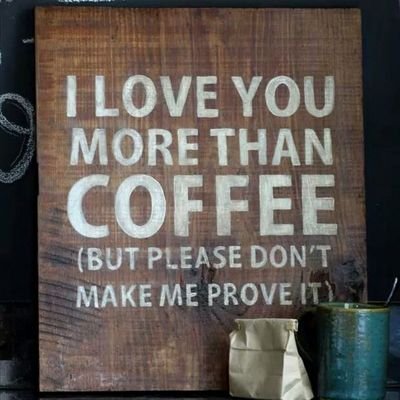 JocelynMoyes's profile picture. love to ride