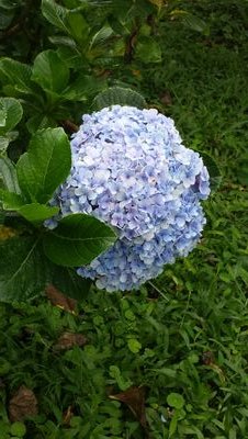 AmyLockrem's profile picture. 