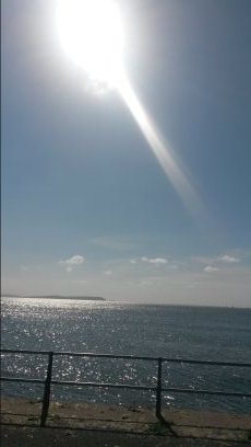 woodie2's profile picture. Apple teacher.