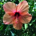 Montse H. (@58_montse) Twitter