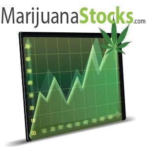 MarijuanaStocks Profile Picture