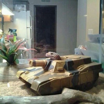 Track404's profile picture. 