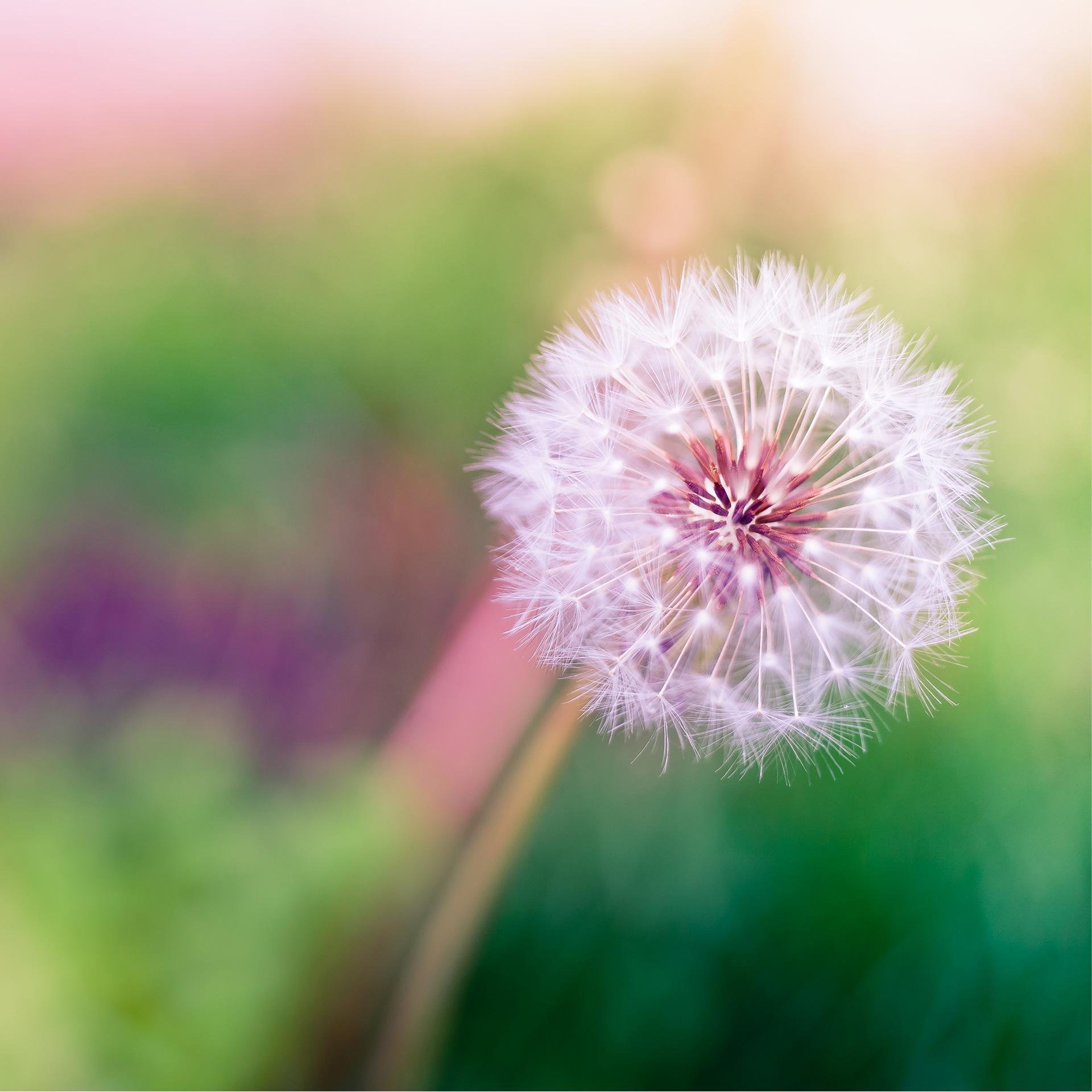 bylabdesign's profile picture. 