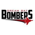 dreambatbombers's profile picture. 