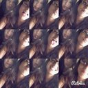 Arely Silva (@13silvaArely) Twitter