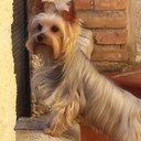 Miguel Angel Velarde - @autocolon - Twitter