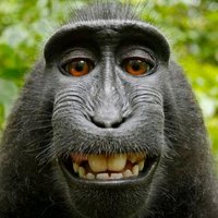 Jon (@jondkay) 's Twitter Profile