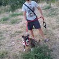 Ruben The Hero (@rubenv22) 's Twitter Profile