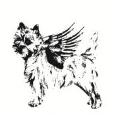 New venture made from a pure love of dogs! Upcycled Wooferchiefs, Muttreses and human grade treats! For more info contact wingmandesigns@outlook.com
