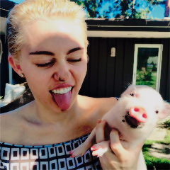 whitesidesmyboy's profile picture. 