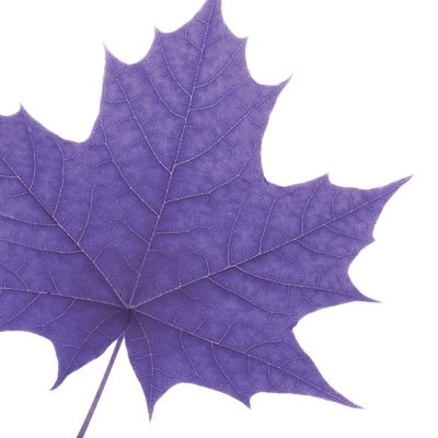 Official site for the Law & Society Program at Wilfrid Laurier University.