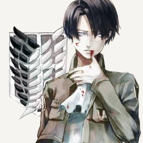 levi ackerman thisisrivaille twitter