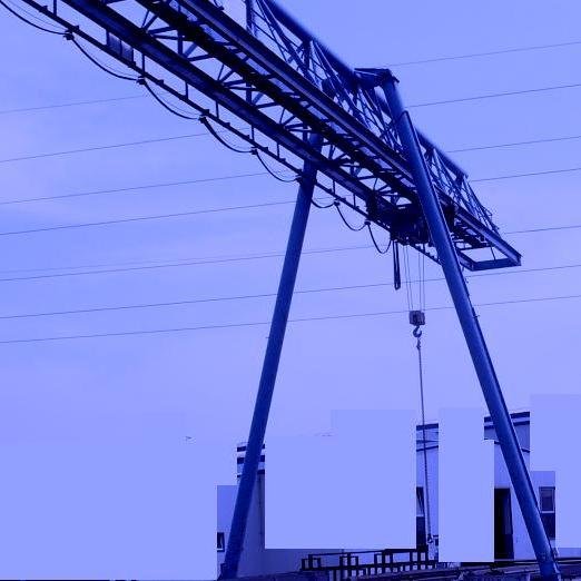 Crane expert in Hungary