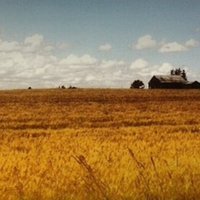 Unearthing Film (@unearthingfilm) 's Twitter Profile Photo