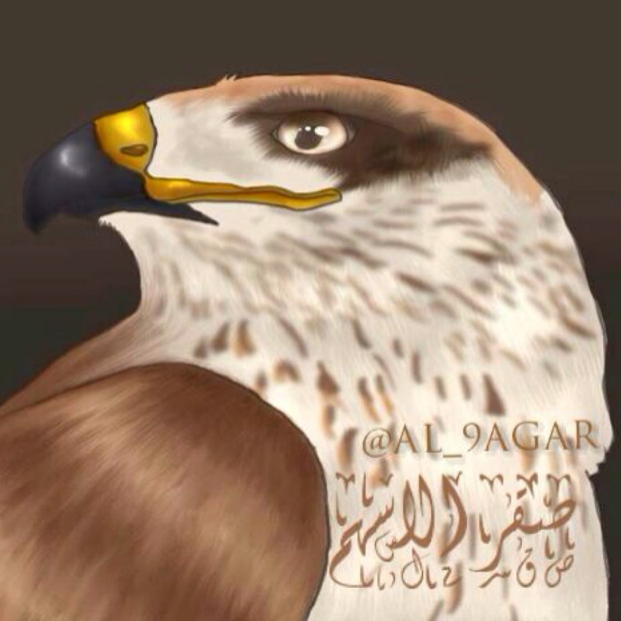 AL_9AGAR11's profile picture. محلل فني لأسواق المال ومدرب معتمد