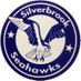 Silverbrook ES (@silverbrookelem) Twitter profile photo