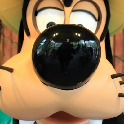 ディズニー好き 年パ歴あり ｸﾞﾘ･ｼｮｰﾊﾟﾚ派 Canonx4/ Twitter良く分からない、、無言フォローしてすみません。。