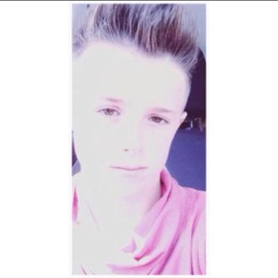 AlexHo994's profile picture. 