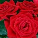 عبير الخزامى (@11Ef7xdzRwAfN2Z) Twitter
