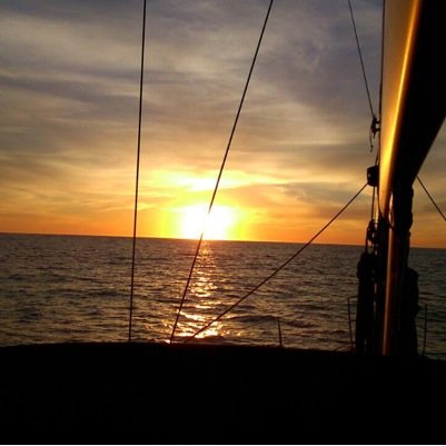 VteManuel's profile picture. 