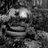 ishootfilmorg's profile image