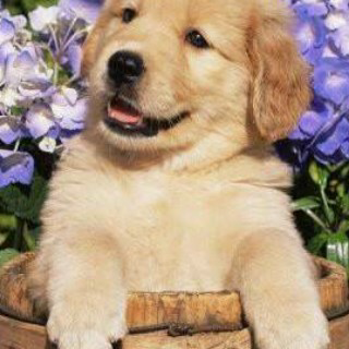 edithco38344495's profile picture. 