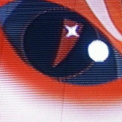 portillod70's profile picture. 