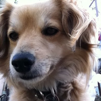 RioJafet's profile picture. 