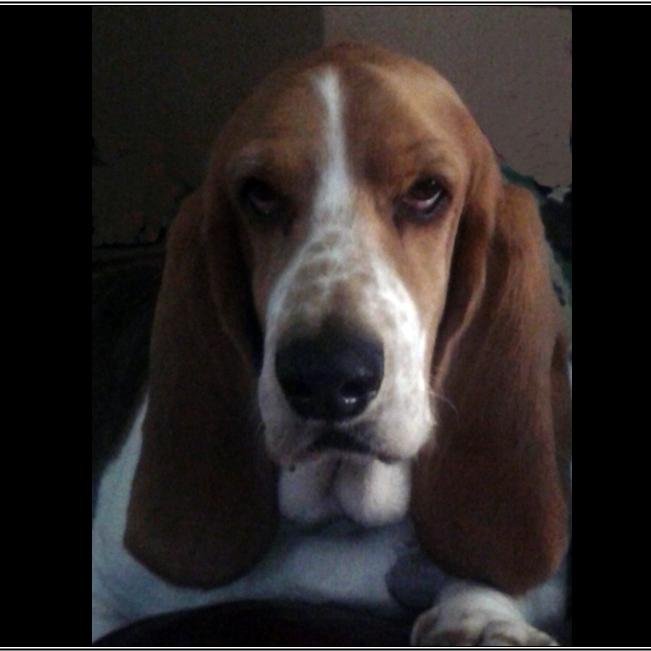 TheGreyEyed1's profile picture. The Far Country is calling me back...