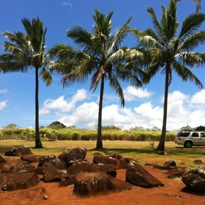 雑多アカ。三兄弟の母。アラフォー。長男→大学1年。次男→支援学校中1。三男→小4。趣味はキャンプ＆アウトドア、キャンピングカー所有。旅好き。自然好き。推し→超特急💚タクちゃん＆シューくん🩶8号車🩷おひたし🌱ミセス🍏。ロバート秋山。少年忍者の織山くん(殿堂入り)。少しでも共通点のある方、フォローお気軽に〜😊