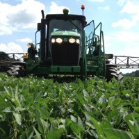 Temple Rhodes (@chestnutmanor) 's Twitter Profile