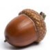 Acorn Environmental (@acornapprentice) Twitter profile photo
