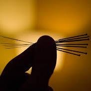 hackettadave's profile picture. 