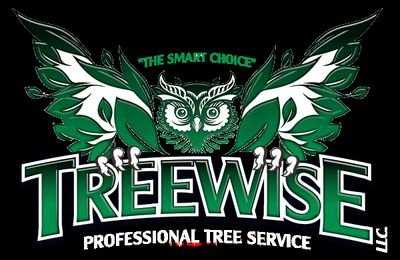 Certified Arborist and Professional Tree Service Company